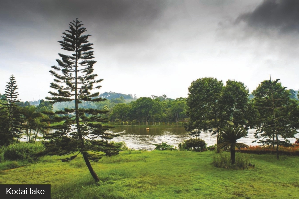 Kodai Lake