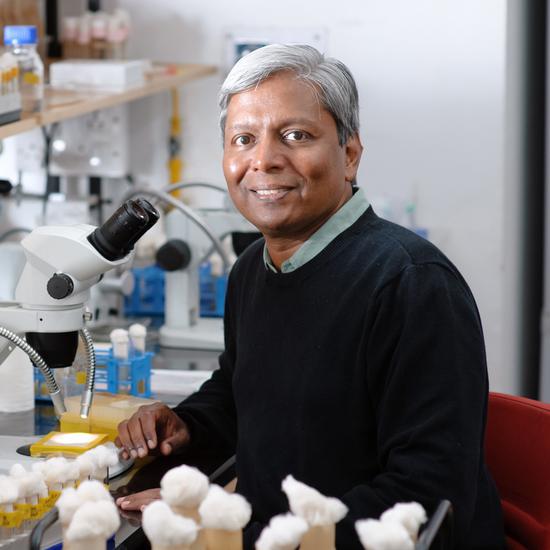 Krishnaswamy VijayRaghavan