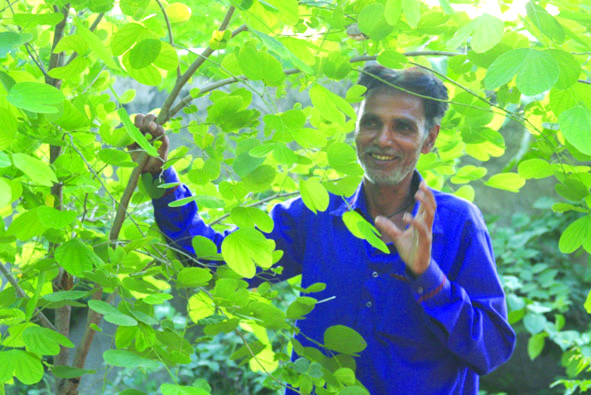 Hanuman Sharma