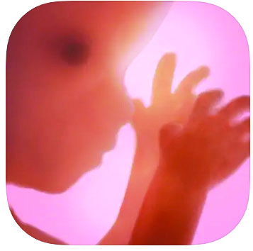 RESPregnancyplus